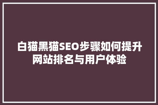 白猫黑猫SEO步骤如何提升网站排名与用户体验