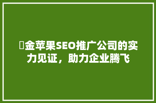 糹金苹果SEO推广公司的实力见证，助力企业腾飞