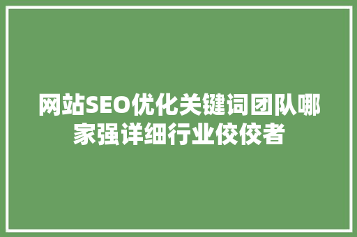 网站SEO优化关键词团队哪家强详细行业佼佼者