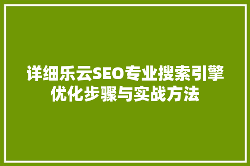 详细乐云SEO专业搜索引擎优化步骤与实战方法
