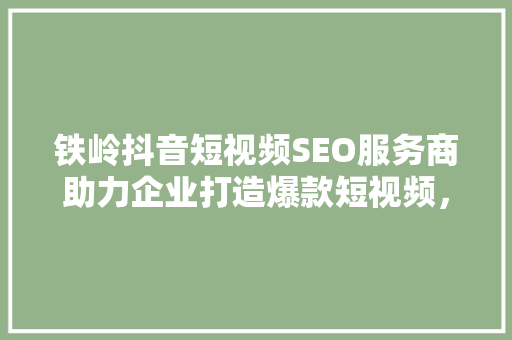 铁岭抖音短视频SEO服务商助力企业打造爆款短视频，抢占流量高地