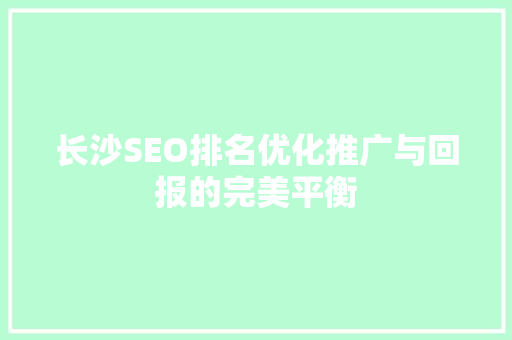 长沙SEO排名优化推广与回报的完美平衡  第1张