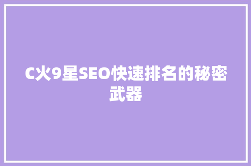 C火9星SEO快速排名的秘密武器