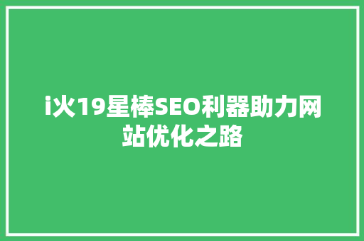 i火19星棒SEO利器助力网站优化之路  第1张