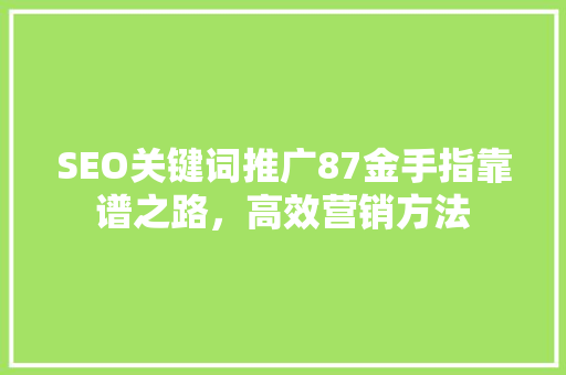 SEO关键词推广87金手指靠谱之路，高效营销方法