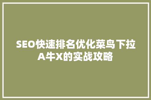 SEO快速排名优化菜鸟下拉A牛X的实战攻略