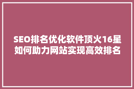 SEO排名优化软件顶火16星如何助力网站实现高效排名