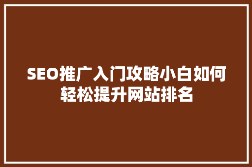 SEO推广入门攻略小白如何轻松提升网站排名