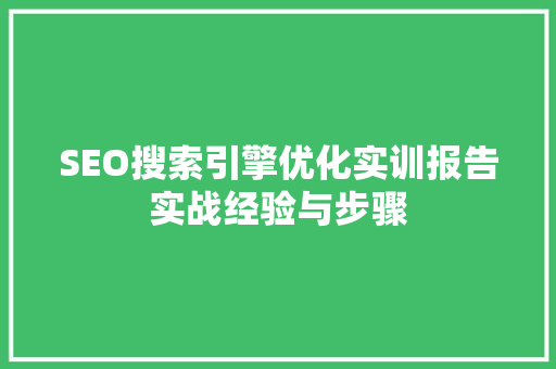 SEO搜索引擎优化实训报告实战经验与步骤