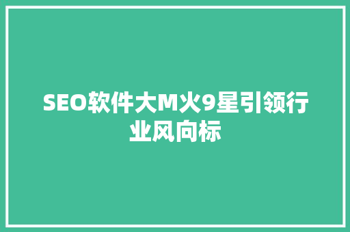 SEO软件大M火9星引领行业风向标