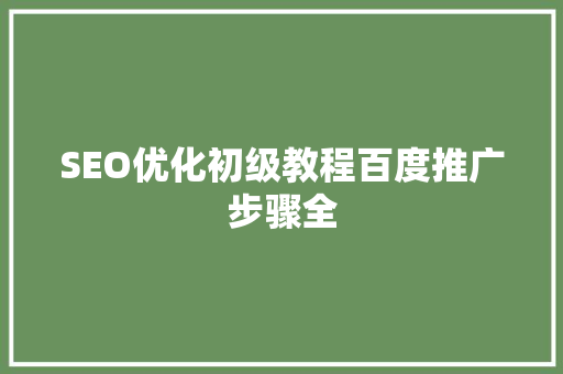 SEO优化初级教程百度推广步骤全