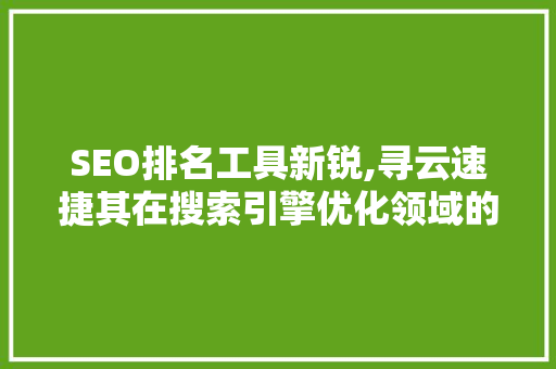 SEO排名工具新锐,寻云速捷其在搜索引擎优化领域的卓越表现