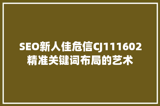 SEO新人佳危信CJ111602精准关键词布局的艺术