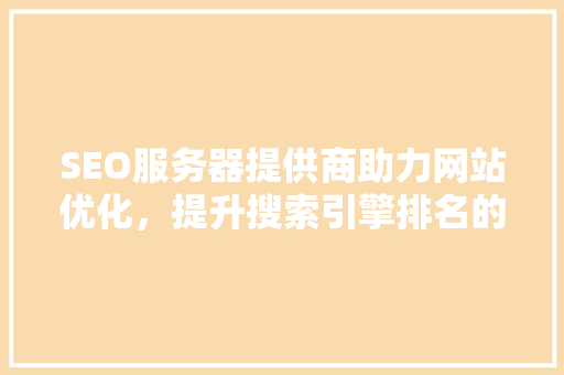 SEO服务器提供商助力网站优化，提升搜索引擎排名的得力助手