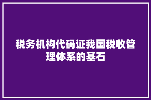 税务机构代码证我国税收管理体系的基石