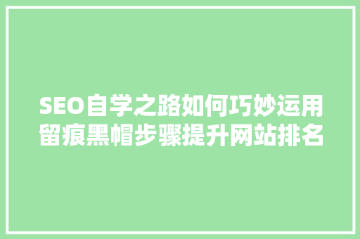 SEO自学之路如何巧妙运用留痕黑帽步骤提升网站排名