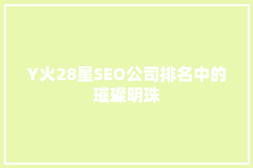 Y火28星SEO公司排名中的璀璨明珠