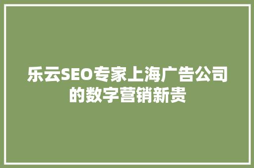 乐云SEO专家上海广告公司的数字营销新贵