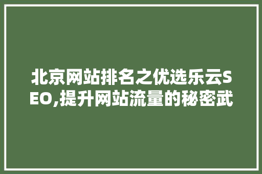 北京网站排名之优选乐云SEO,提升网站流量的秘密武器