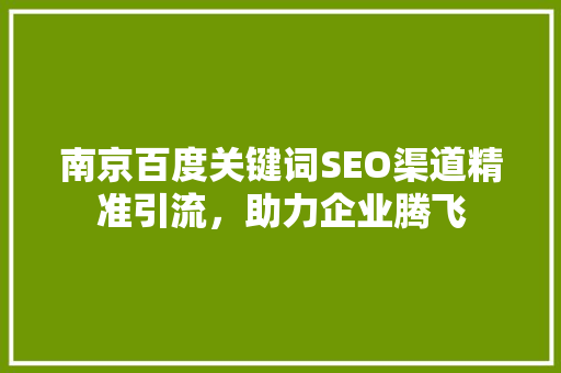 南京百度关键词SEO渠道精准引流，助力企业腾飞