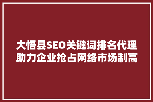 大悟县SEO关键词排名代理助力企业抢占网络市场制高点
