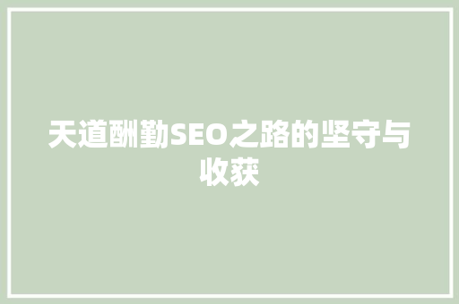 天道酬勤SEO之路的坚守与收获