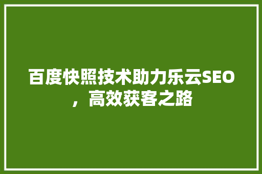 百度快照技术助力乐云SEO，高效获客之路