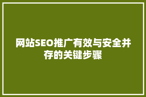 网站SEO推广有效与安全并存的关键步骤