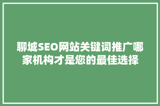 聊城SEO网站关键词推广哪家机构才是您的最佳选择