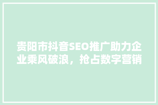 贵阳市抖音SEO推广助力企业乘风破浪，抢占数字营销高地