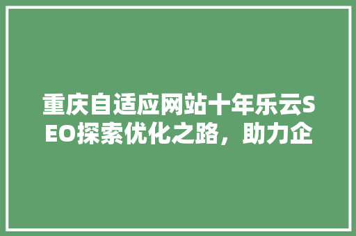 重庆自适应网站十年乐云SEO探索优化之路，助力企业腾飞