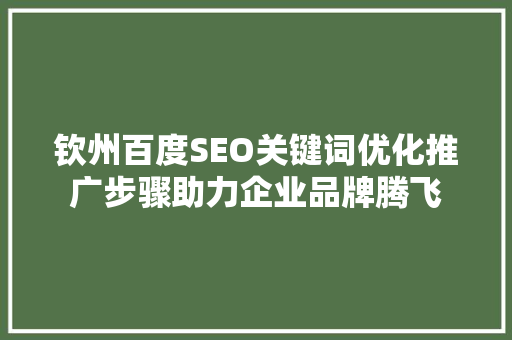 钦州百度SEO关键词优化推广步骤助力企业品牌腾飞