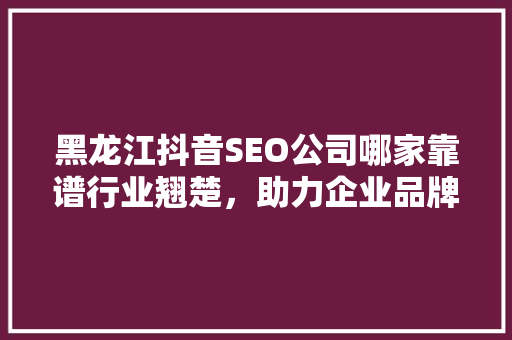 黑龙江抖音SEO公司哪家靠谱行业翘楚，助力企业品牌腾飞  第1张