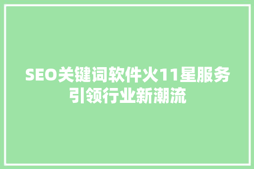 SEO关键词软件火11星服务引领行业新潮流  第1张