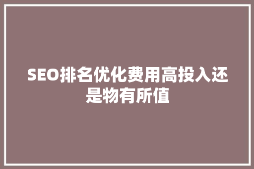 SEO排名优化费用高投入还是物有所值