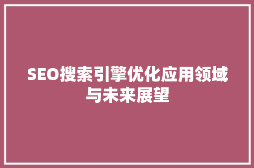 SEO搜索引擎优化应用领域与未来展望