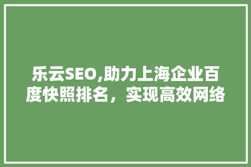 乐云SEO,助力上海企业百度快照排名，实现高效网络营销