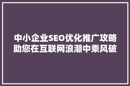 中小企业SEO优化推广攻略助您在互联网浪潮中乘风破浪