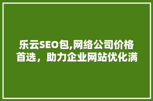 乐云SEO包,网络公司价格首选，助力企业网站优化满意升级