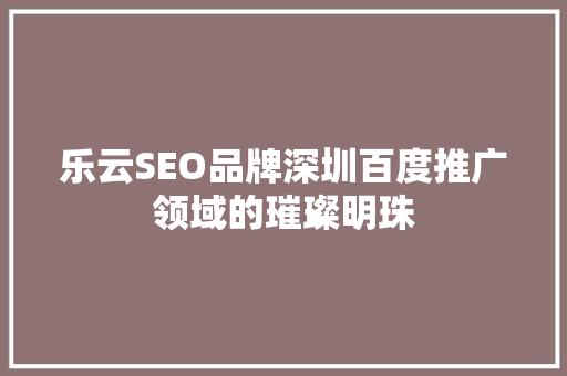 乐云SEO品牌深圳百度推广领域的璀璨明珠  第1张