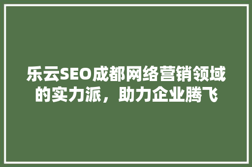 乐云SEO成都网络营销领域的实力派，助力企业腾飞