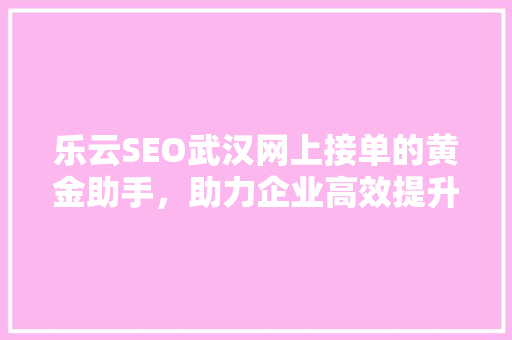 乐云SEO武汉网上接单的黄金助手，助力企业高效提升网络排名