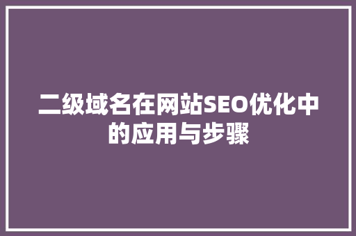 二级域名在网站SEO优化中的应用与步骤