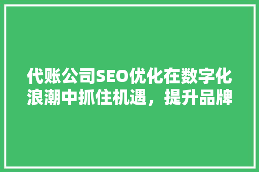 代账公司SEO优化在数字化浪潮中抓住机遇，提升品牌影响力