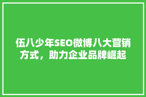 伍八少年SEO微博八大营销方式，助力企业品牌崛起