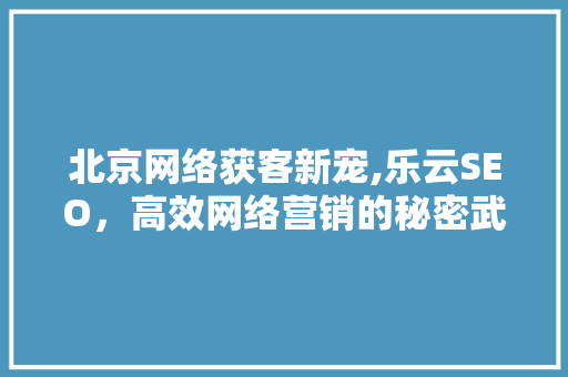 北京网络获客新宠,乐云SEO，高效网络营销的秘密武器
