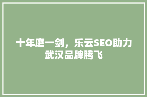 十年磨一剑，乐云SEO助力武汉品牌腾飞