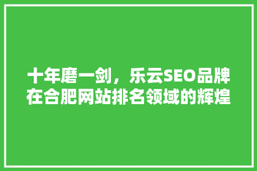 十年磨一剑，乐云SEO品牌在合肥网站排名领域的辉煌历程