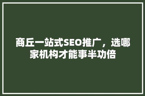 商丘一站式SEO推广，选哪家机构才能事半功倍