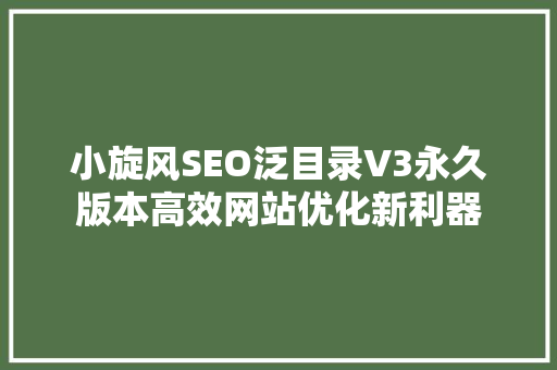 小旋风SEO泛目录V3永久版本高效网站优化新利器  第1张